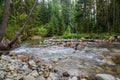 Fast mountain river in forest. Ziarska valley. Western Tatras. Slovakia